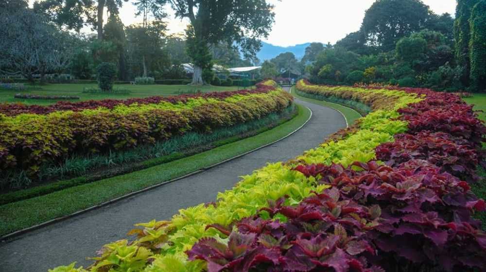 Royal Botanic Garden