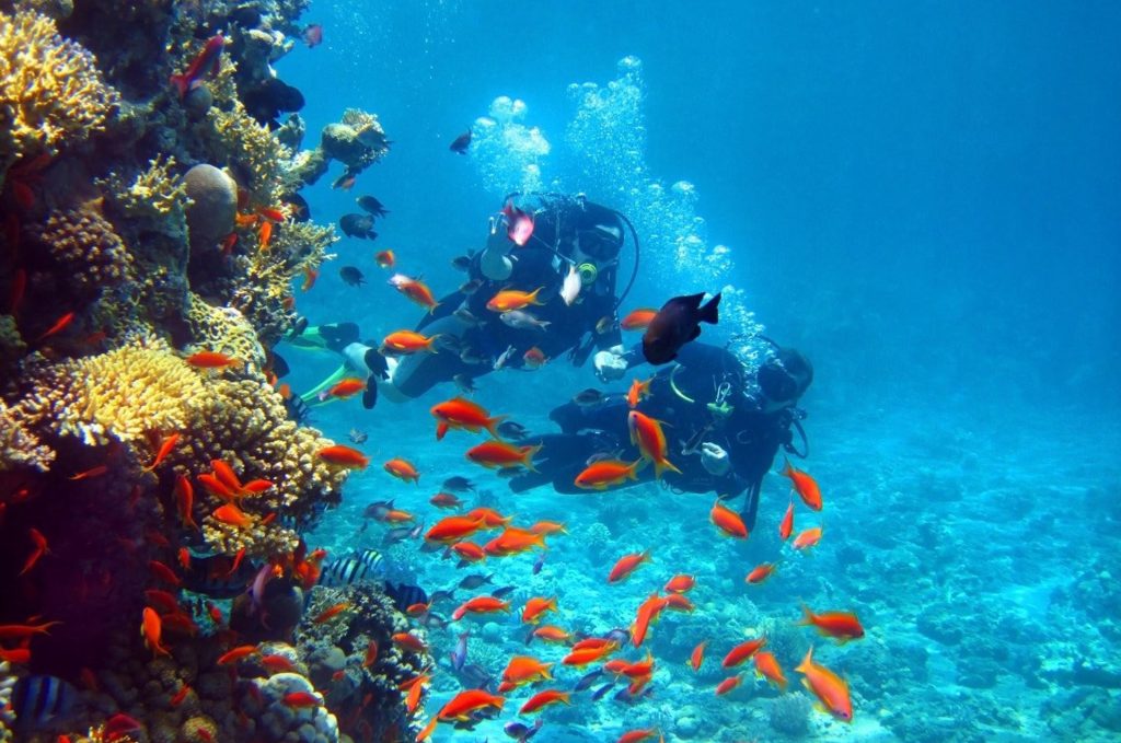 Hikkaduwa Coral Reefs