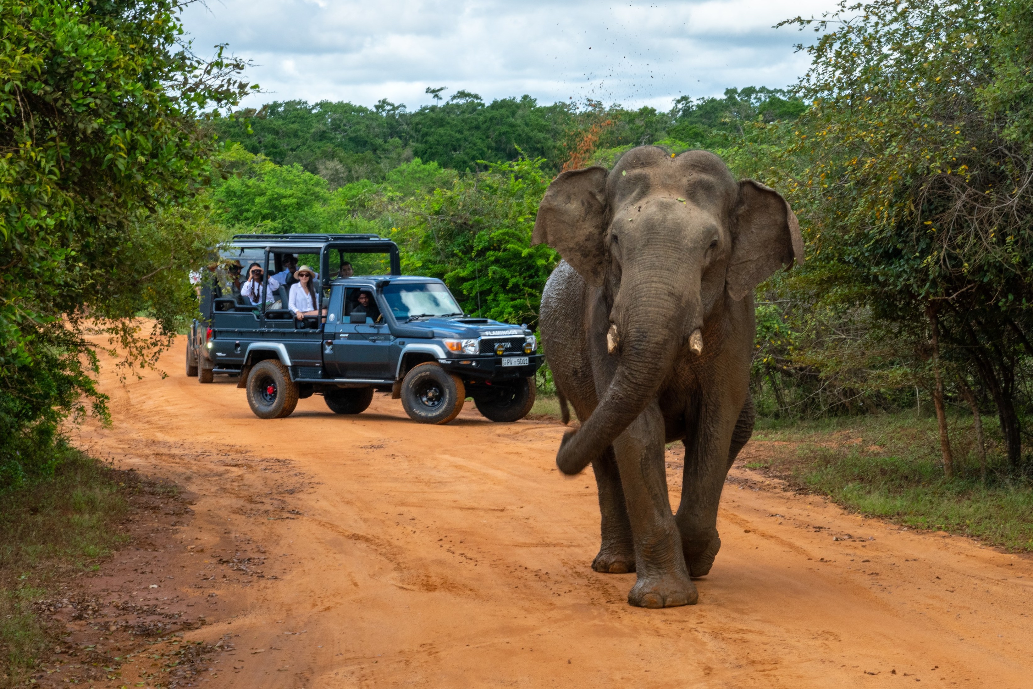 Yala National Park
