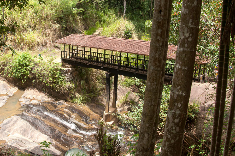 dam5